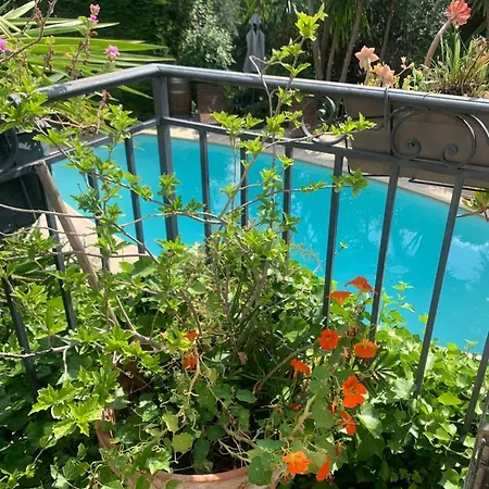 French Riviera Vallauris